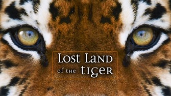 Экспедиция Тигр: В поисках последнего тигра 1 серия / Lost Land of the Tiger (2010)