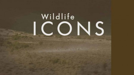 Герои дикой природы 2 сезон 1 серия. Отряд чистильщиков / Wildlife Icons (2017)