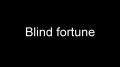Слепая удача / Blind fortune (2012)