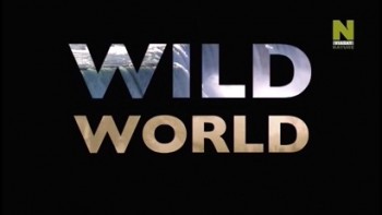 Мир Дикой Природы 3 сезон 3 серия. Остров Малый Сент-Саймонс / Wild World (2013)