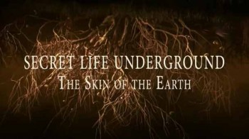 Секреты Подземной Жизни 1 серия. Кожа Земли (2015)
