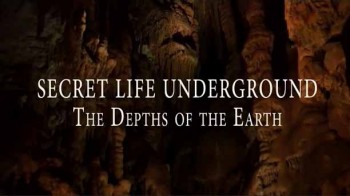 Секреты Подземной Жизни 2 серия. Недра Земли (2015)