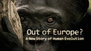 Новая история эволюции. Европейский след / Out of Europe — A New Story of Human Evolution? (2019)