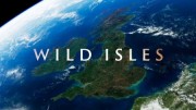 Дикие острова 3 серия. Луга / Wild Isles (2023) Дэвид Аттенборо